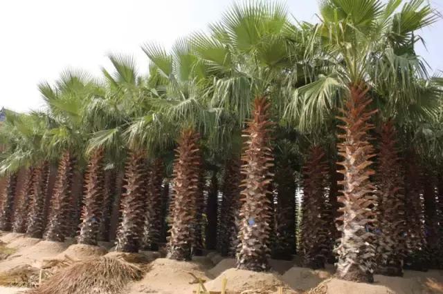 海南，梦想启航之地——自信铸就辉煌之旅